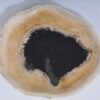 Plato madera petrificada 37034i