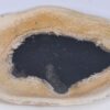Plato madera petrificada 37034i