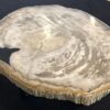 Couchtisch versteinertes Holz 31166