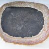 Assiette bois pétrifié 38005g