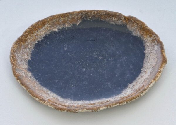 Assiette bois pétrifié 38006g