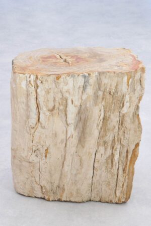 Bijzettafel versteend hout 39010