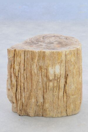 Bijzettafel versteend hout 39017