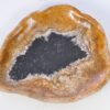 Bord versteend hout 38011c
