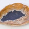 Bord versteend hout 38011c