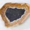 Bord versteend hout 38015