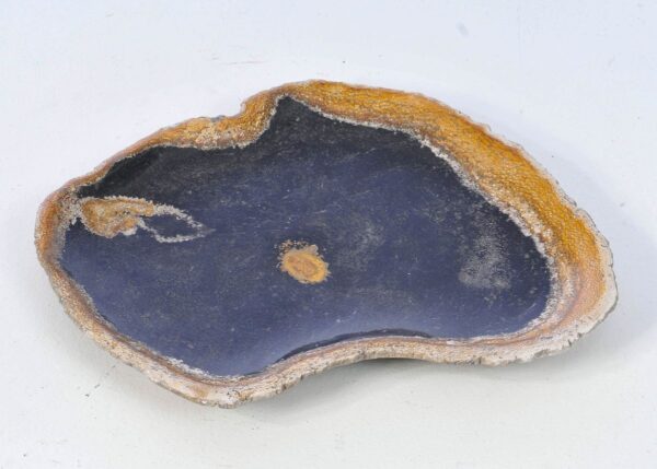 Bord versteend hout 38159