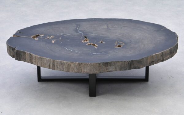 Coffee table petrified wood 38167