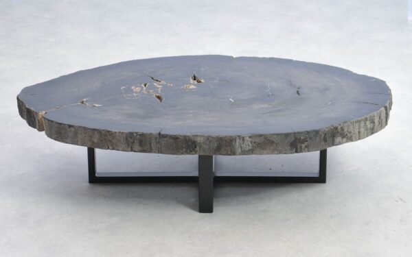 Coffee table petrified wood 38178