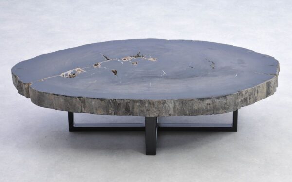 Coffee table petrified wood 38179