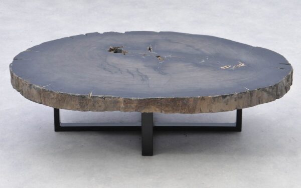 Coffee table petrified wood 38181
