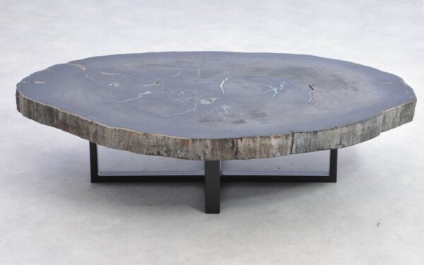 Coffee table petrified wood 38183