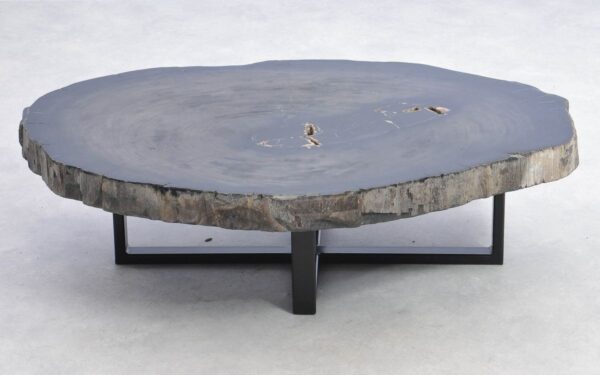 Coffee table petrified wood 38187