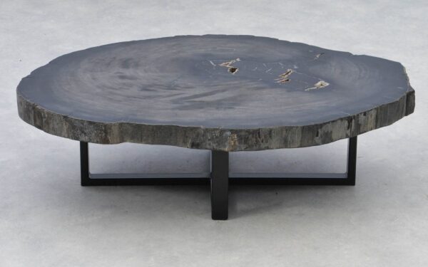 Coffee table petrified wood 38188