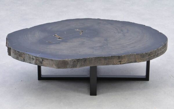 Coffee table petrified wood 38190
