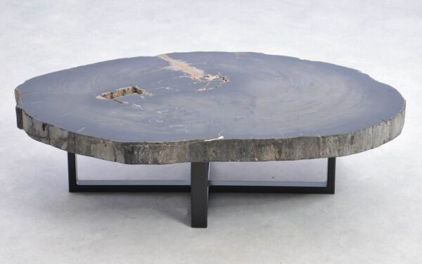 Coffee table petrified wood 38191