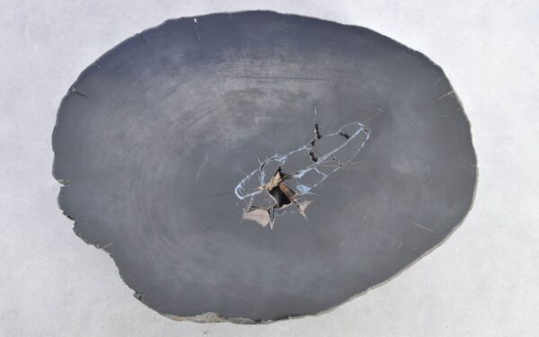 Coffee table petrified wood 38193