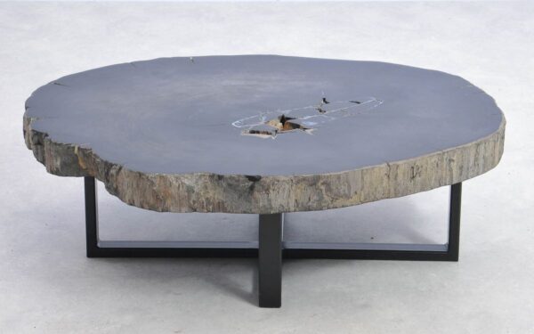 Coffee table petrified wood 38193