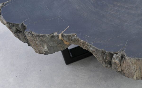 Coffee table petrified wood 38193