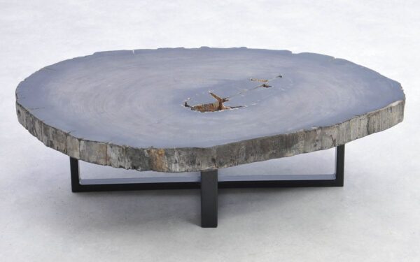 Coffee table petrified wood 38207