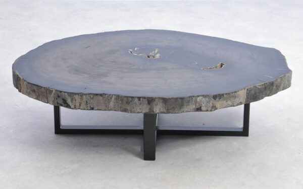 Coffee table petrified wood 38209