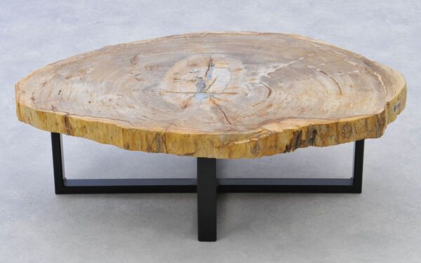 Coffee table petrified wood 38224