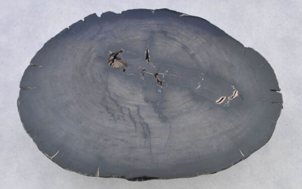Couchtisch versteinertes Holz 38181