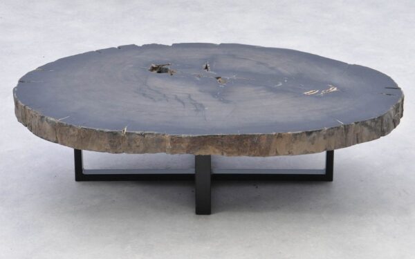 Couchtisch versteinertes Holz 38181