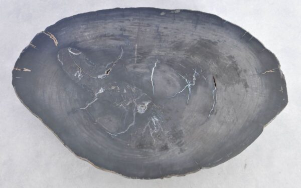 Mesa de centro madera petrificada 38183