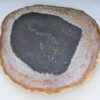 Plate petrified wood 38005d