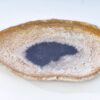 Plate petrified wood 38008c