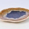Plate petrified wood 38020