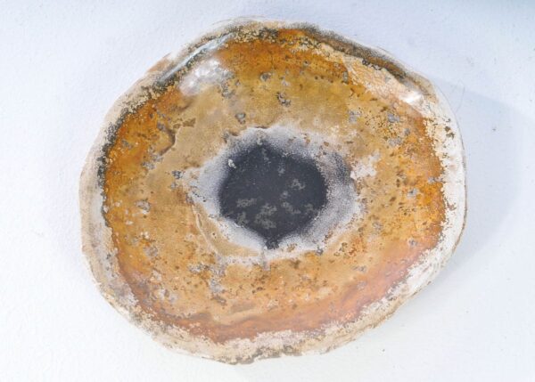 Plate petrified wood 38023