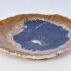 Plate petrified wood 38156