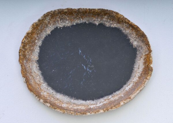 Plato madera petrificada 38006c