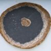 Plato madera petrificada 38006d
