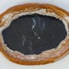 Plato madera petrificada 38011i