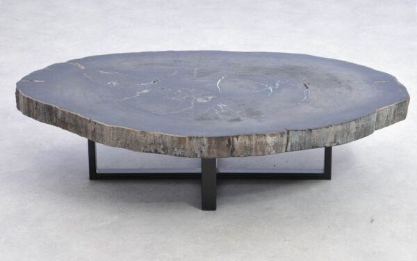 Table basse bois pétrifié 38183