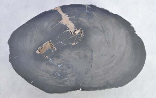 Table basse bois pétrifié 38191