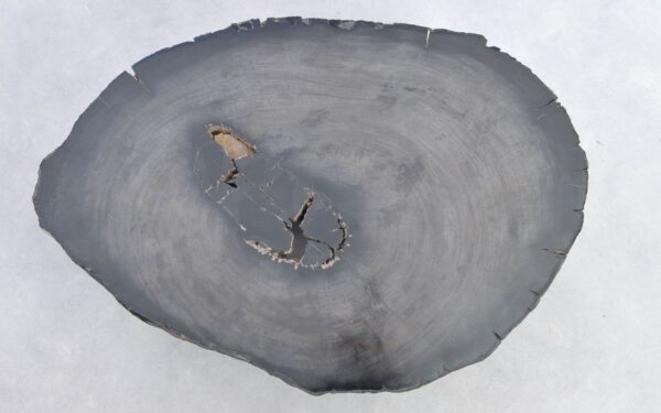 Table basse bois pétrifié 38208