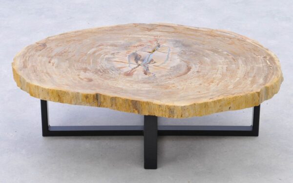 Table basse bois pétrifié 38212
