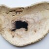 Teller versteinertes Holz 28293