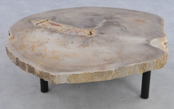 Coffee table petrified wood 39170