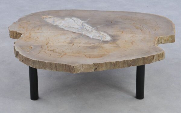Coffee table petrified wood 39174