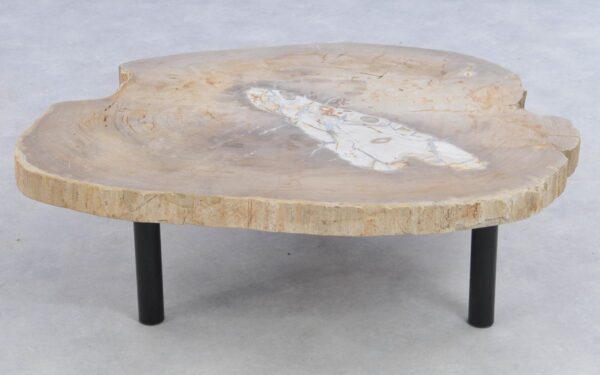 Coffee table petrified wood 39175