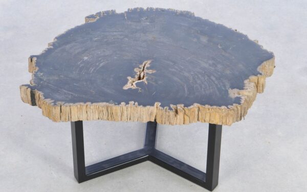 Coffee table petrified wood 39184