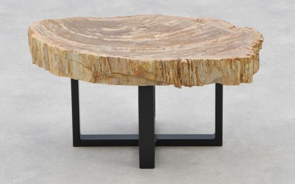 Coffee table petrified wood 40202