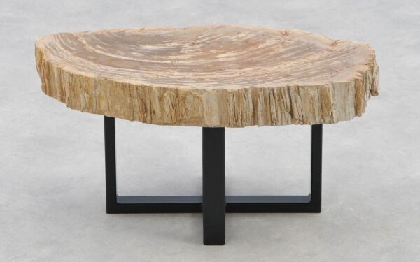 Coffee table petrified wood 40203