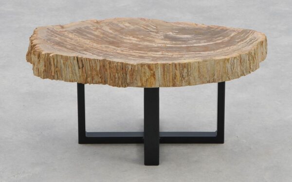 Coffee table petrified wood 40204