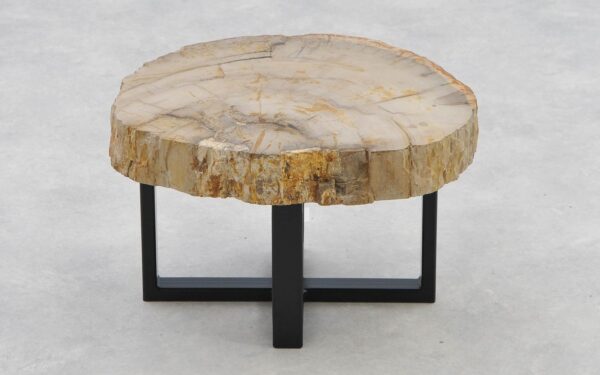 Coffee table petrified wood 40207